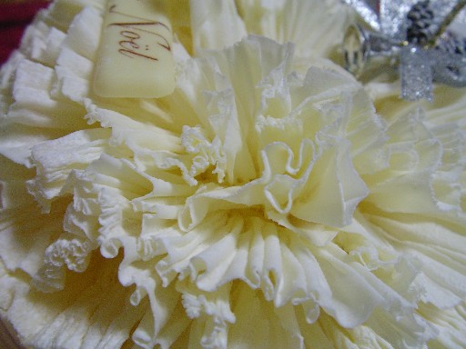 f0002833_23114262.jpg