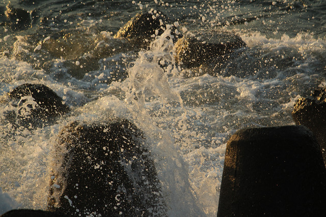 c0219738_13361176.jpg