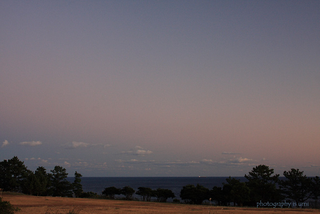 e0083238_2103362.jpg