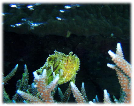 f0014842_18412993.jpg