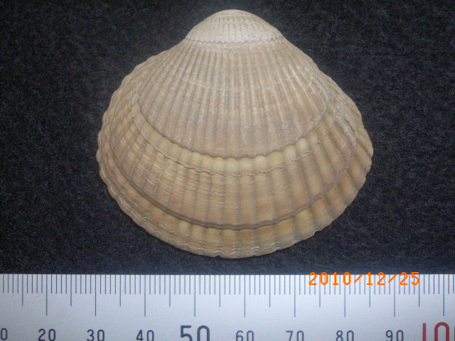 a0157451_22214839.jpg