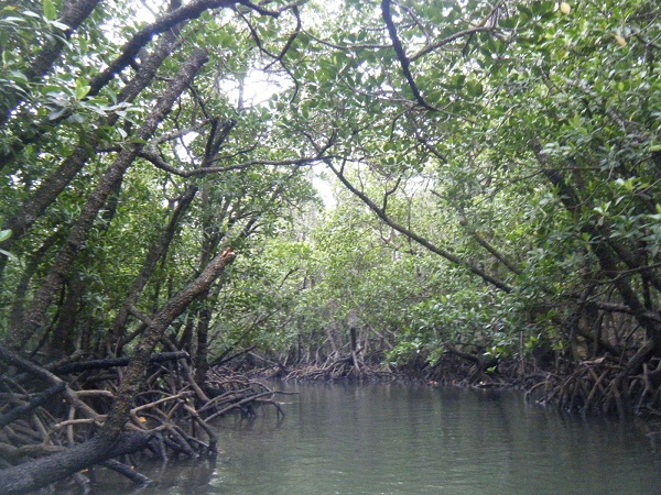 e0134752_2324852.jpg