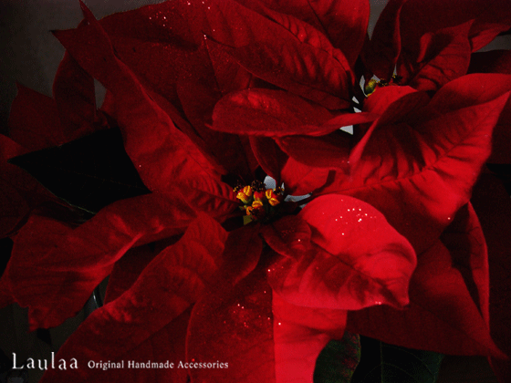 c0225153_1527236.gif