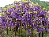 e0088260_23124381.jpg
