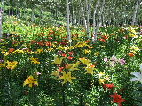 e0088260_2313352.jpg