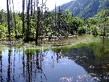 e0088260_23142333.jpg