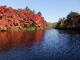 e0088260_23144357.jpg