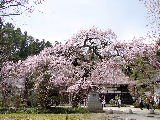 e0088260_2382353.jpg