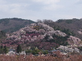 e0088260_23924.jpg