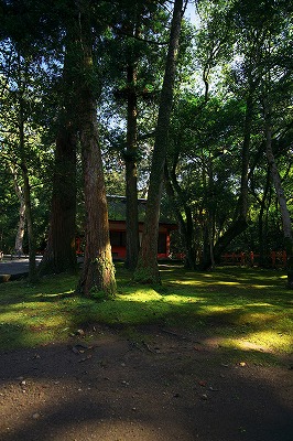 b0131167_17445087.jpg