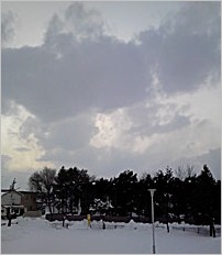 a0050669_12569.jpg
