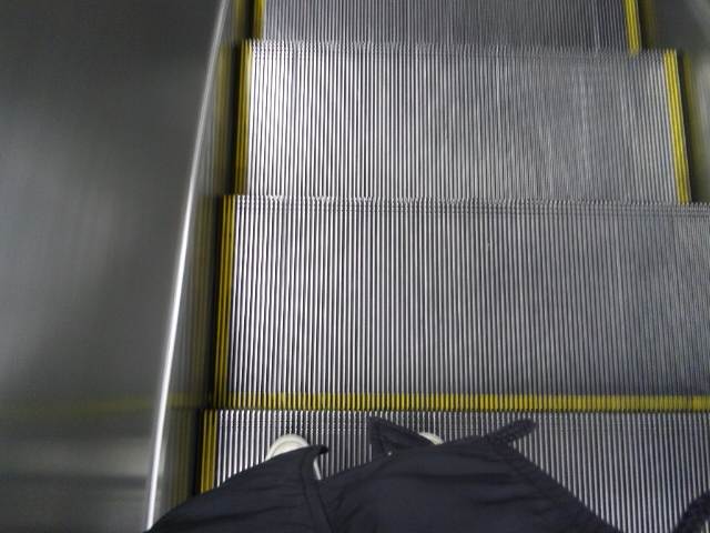f0073770_29231.jpg