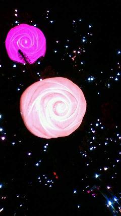 e0037673_0302082.jpg