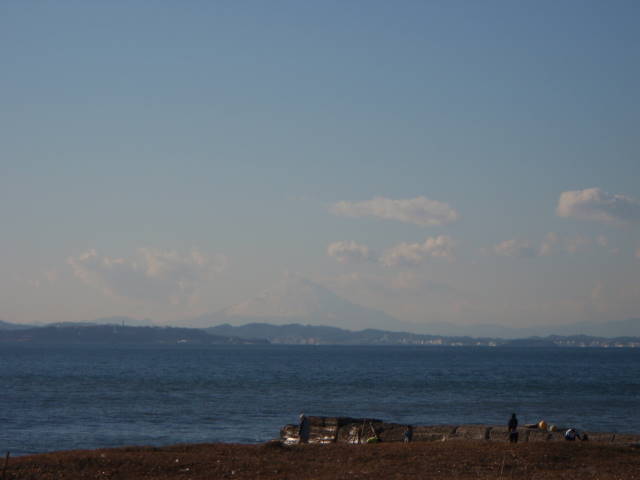 a0113874_7305017.jpg