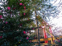 b0004675_1344044.jpg