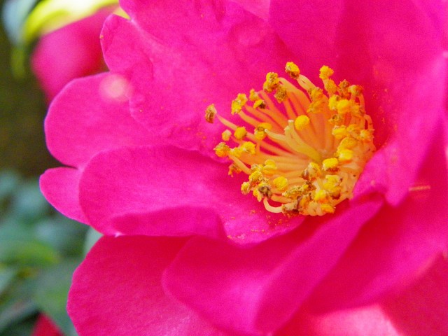 b0004675_136356.jpg
