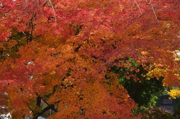 c0019376_1872862.jpg