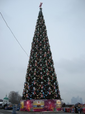 f0209878_6244465.jpg