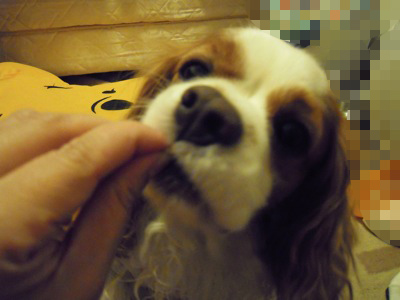d0044986_0225070.jpg