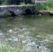d0099791_19302493.jpg