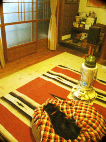 d0077603_22244987.jpg