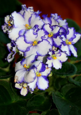 f0041606_19425333.jpg