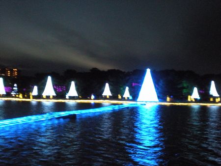 b0061107_23102499.jpg