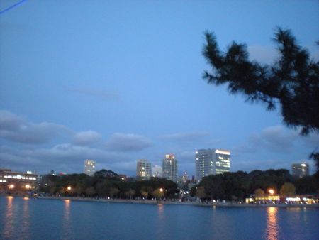 b0061107_2375249.jpg