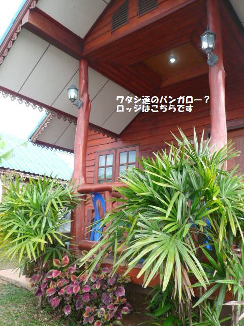 e0094407_1743136.jpg