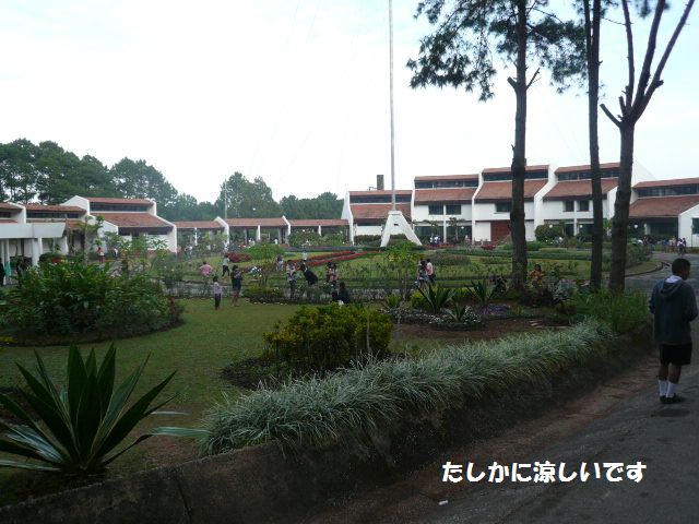 e0094407_19165686.jpg