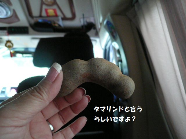 e0094407_2059418.jpg