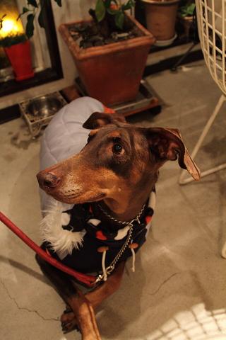 e0100007_2042667.jpg