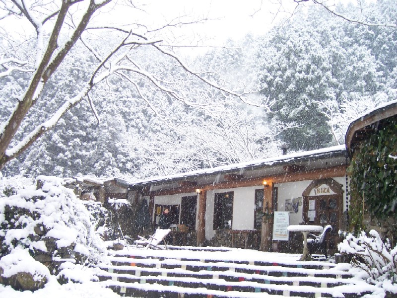 b0126408_22125973.jpg