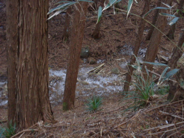 e0015108_2259814.jpg
