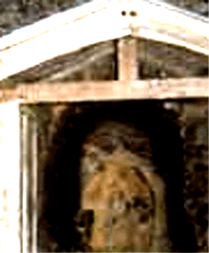 e0103408_10395772.gif