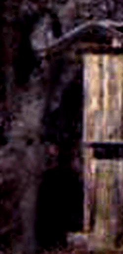e0103408_1050831.gif