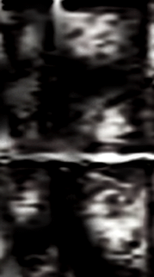 e0103408_10514627.gif