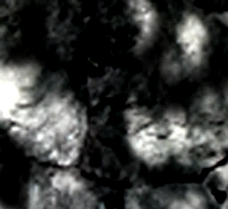 e0103408_10521953.gif