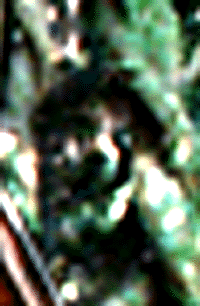 e0103408_10524097.gif