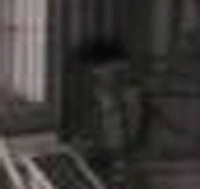 e0103408_13381350.gif
