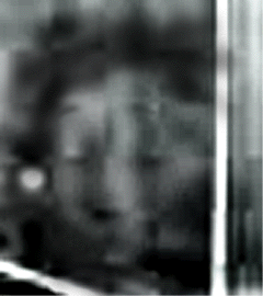 e0103408_13384487.gif