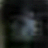 e0103408_13392746.gif