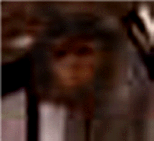 e0103408_13395167.gif