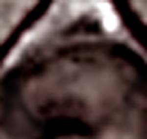 e0103408_17481615.jpg