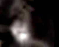 e0103408_1841475.jpg