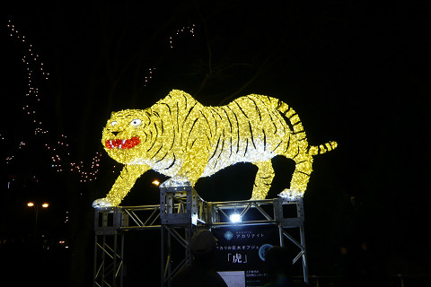 f0046614_10254851.jpg