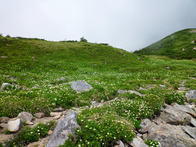 d0170615_1710645.jpg