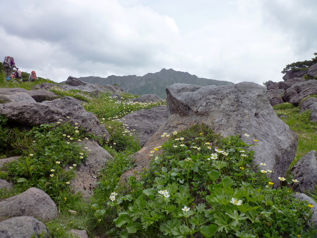 d0170615_17114834.jpg