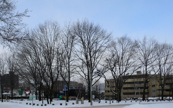 a0046429_19402729.jpg