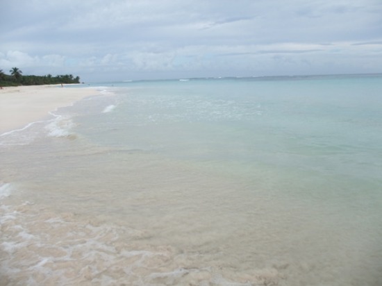 f0238932_13581985.jpg
